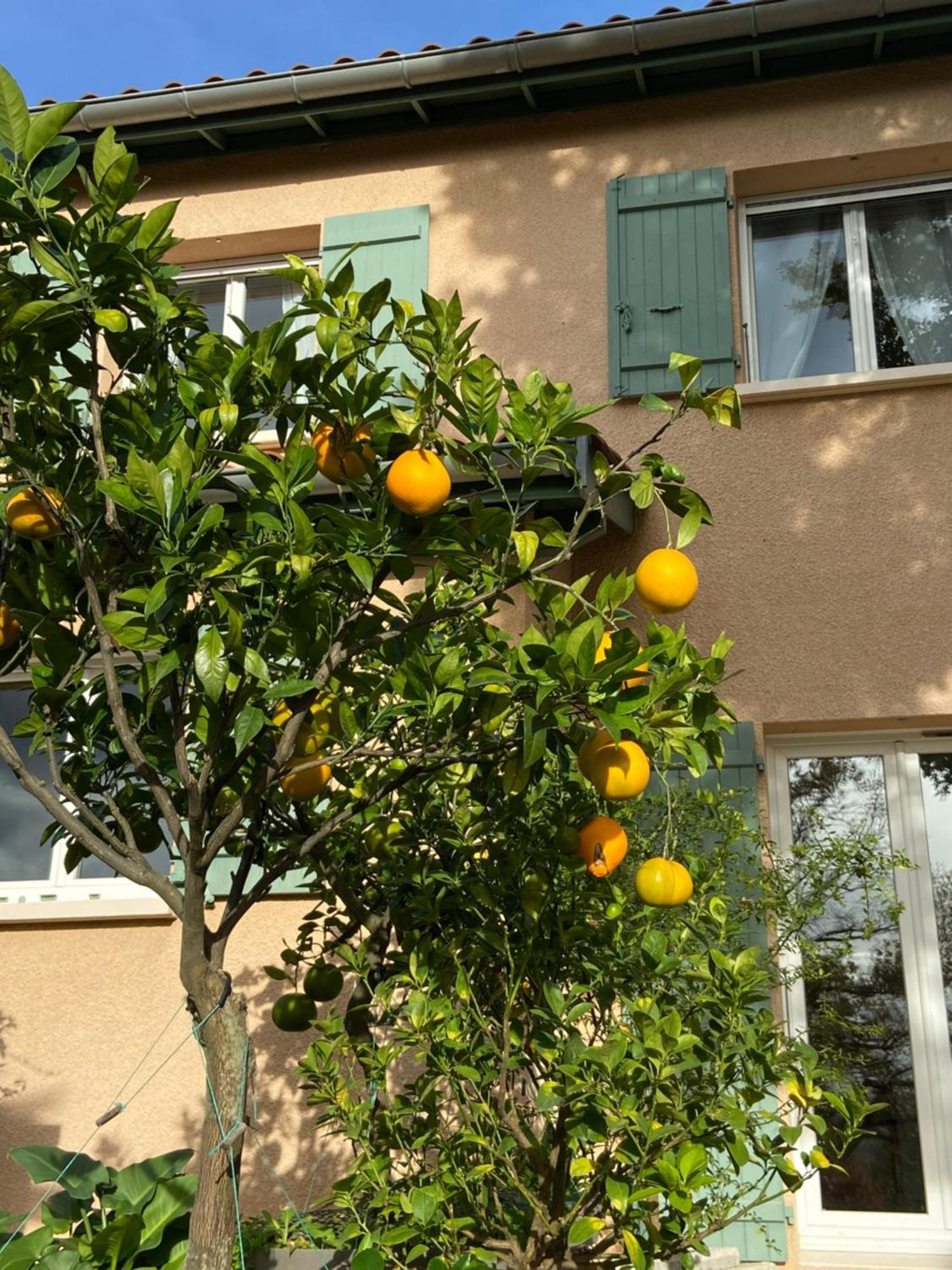 Le Relais Des Malettes Chambres D'Hotes B&B Francheville  Exterior foto