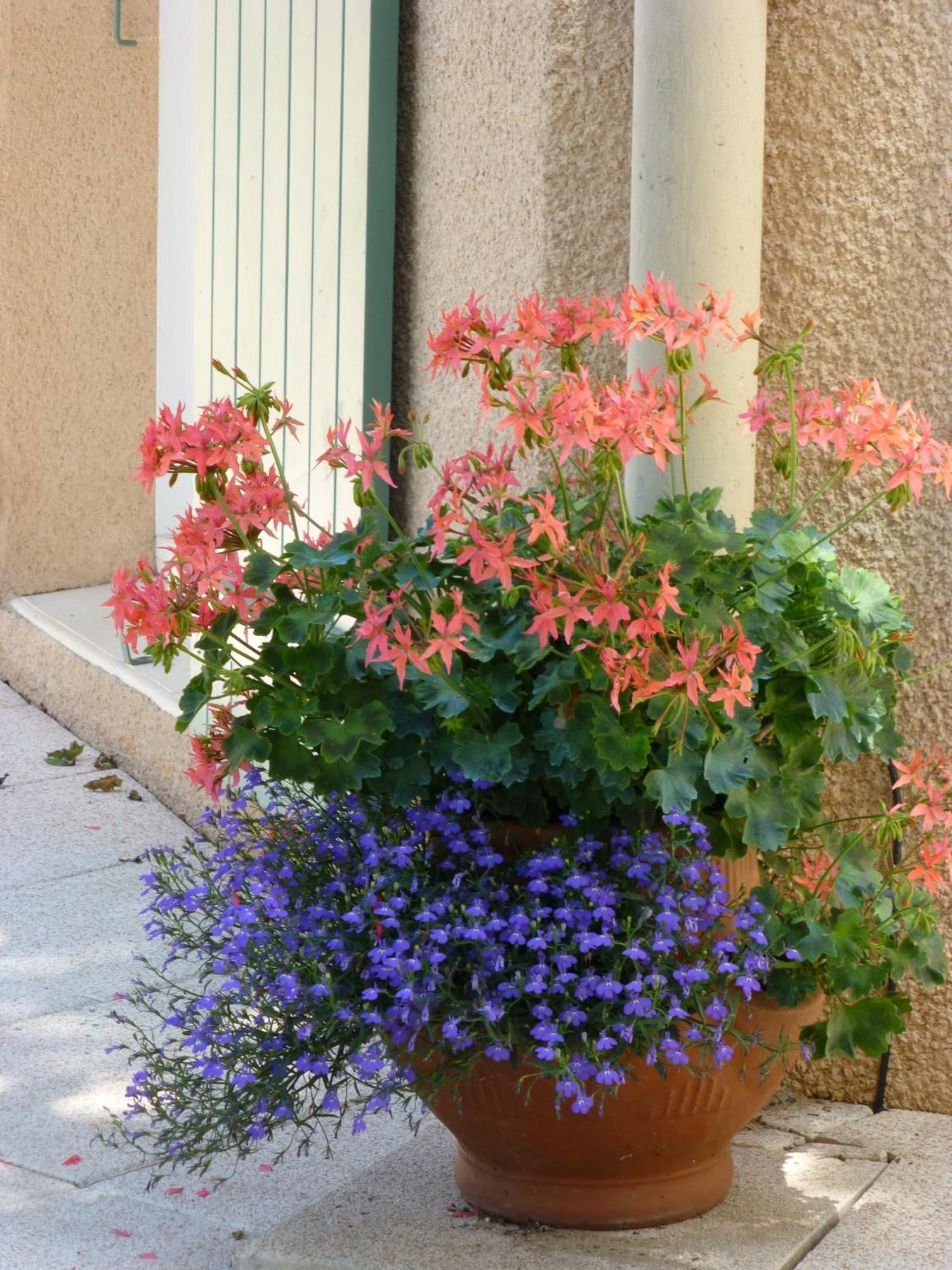 Le Relais Des Malettes Chambres D'Hotes B&B Francheville  Exterior foto